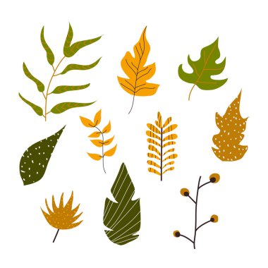 Soyut Tropikal Yapraklar ve Bitkiler Beyaz Arkaplan Vektör Kümesi 'nde izole edildi. Sınırlar ve Tebrik Kartı Tasarımı İçin Çiçek Dekoratif Elementleri