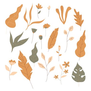 Soyut Tropikal Yapraklar ve Bitkiler Beyaz Arkaplan Vektör Kümesi 'nde izole edildi. Sınırlar ve Tebrik Kartı Tasarımı İçin Çiçek Dekoratif Elementleri