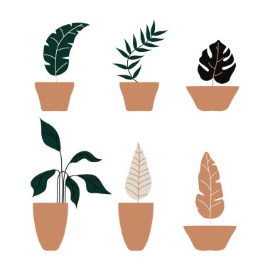 Seramik Tencere Vektör Kümesinde Dinlenmiş Şekillendirilmiş Ev Bitkileri. İç Dekorasyon İçin Tropik Flora