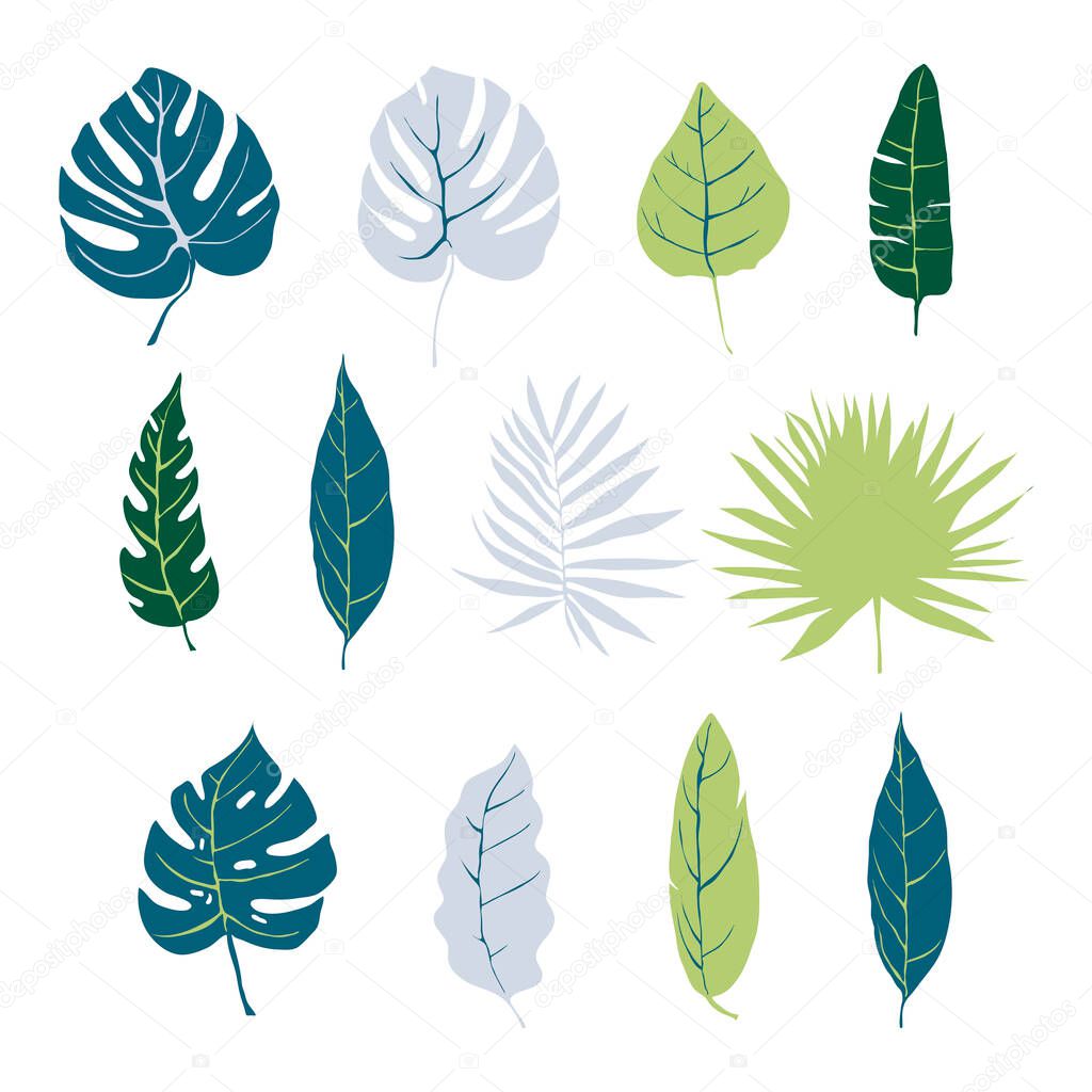 Tropical Plants and Leaves Isolated on White Background Vector Set. Exotic Foliage and Fauna for Trendy Card Design