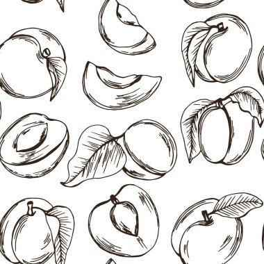 Drupe Fruit ile kayısı Küçük Şeftali ve Dilimlenmiş Parça Vektörsüz Şablon 'a benzer. Duvar kağıtları için El Çizimi Tasarımı