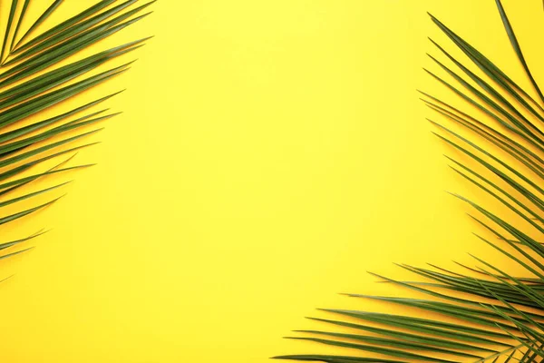 Green leaves of palm tree on yellow background with copy space