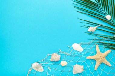 Mavi arkaplanda palmiye yaprakları olan deniz kabukları