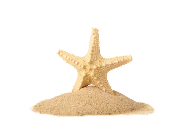 Seestern Mit Sand Isoliert Auf Weißem Hintergrund Mit Kopierraum Ansicht — Stockfoto