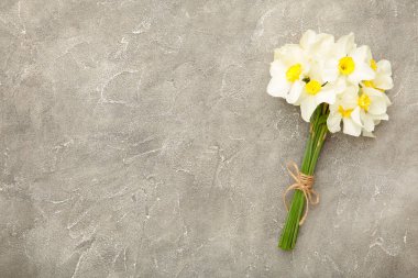Gri beton arka planda bahar narsisleri. Üst görünüm
