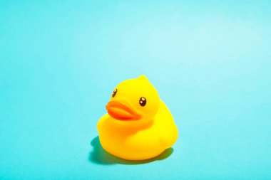 Mavi arka planda organize edilmiş sarı plastik ördek. Üst görünüm