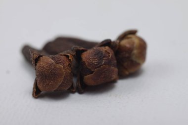 İzole edilmiş beyaz bir arkaplanda karanfiller