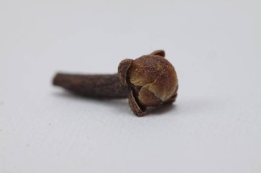 İzole edilmiş beyaz bir arkaplanda karanfiller