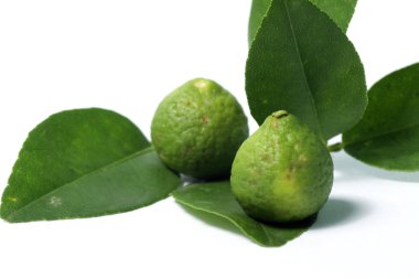 Kaffir kireç / Citrus hystrix Dc, Jeruk purut olarak da bilinir, geleneksel tıp ve yemek pişirmek için kullanılan bir tür narenciye türü. İzole edilmiş beyaz bir arkaplanda çekim yap