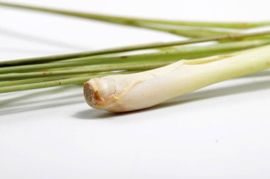 Yakın çekim otlar, zencefil, karaciğer, galangal, limon otu. Bunlar yemek pişirmek için kullanılabilir. Tıbbi amaçlı olarak da geleneksel ilaç olarak kullanılabilir.. 