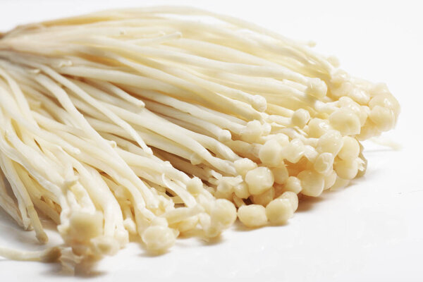 Close up shot of Enoki (Flammulina velutipes) is a mushroom that is well-known for its role in Japanese cuisine, where it is also known as Enokitake