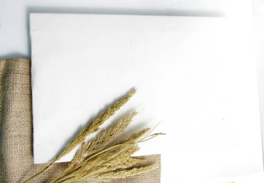 Kurutulmuş Tilki Kuyruğu darı, bilimsel adı Setaria italica (Panicum italicum L.), en çok ekilen ikinci darı türü ve Asya 'nın en çok yetişen darı türüdür.