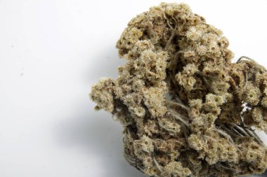 Endonezya 'ya özgü bir bitki türü olan kurutulmuş Anafalis javanica ya da Cava edelweiss' in yakın plan çekimi..