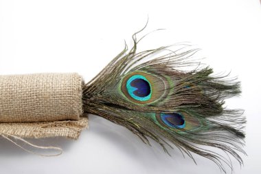 Tavus kuşu (erkek Peafowl) tüyünün eşsiz bir göz şekli olan resmi 