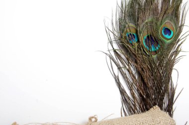 Tavus kuşu (erkek Peafowl) tüyünün eşsiz bir göz şekli olan resmi 