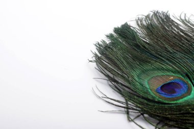 Tavus kuşu (erkek Peafowl) tüyünün eşsiz bir göz şekli olan resmi 