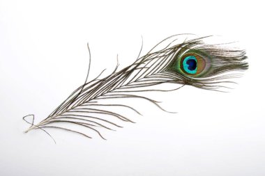 Tavus kuşu (erkek Peafowl) tüyünün eşsiz bir göz şekli olan resmi 