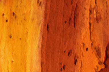 Makro sanat parçası, yağlı boya arka plan, yakın sanat parçası, Hq benzersiz grunge doku, tasarlanmış orijinal üretim için modern el çizim deseni.