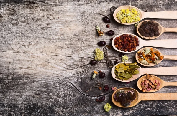 Herbs in wooden spoon