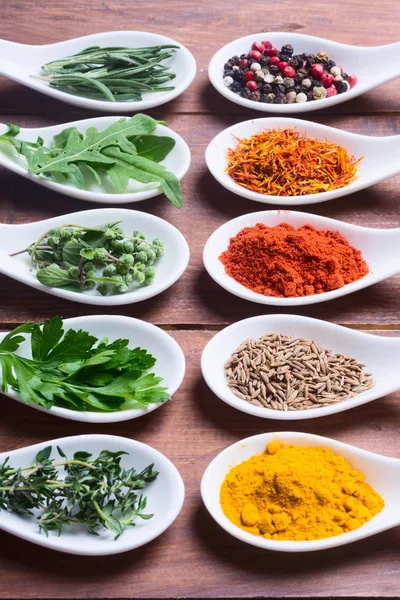 Sortiment av indiska kryddor och örter — Stockfoto