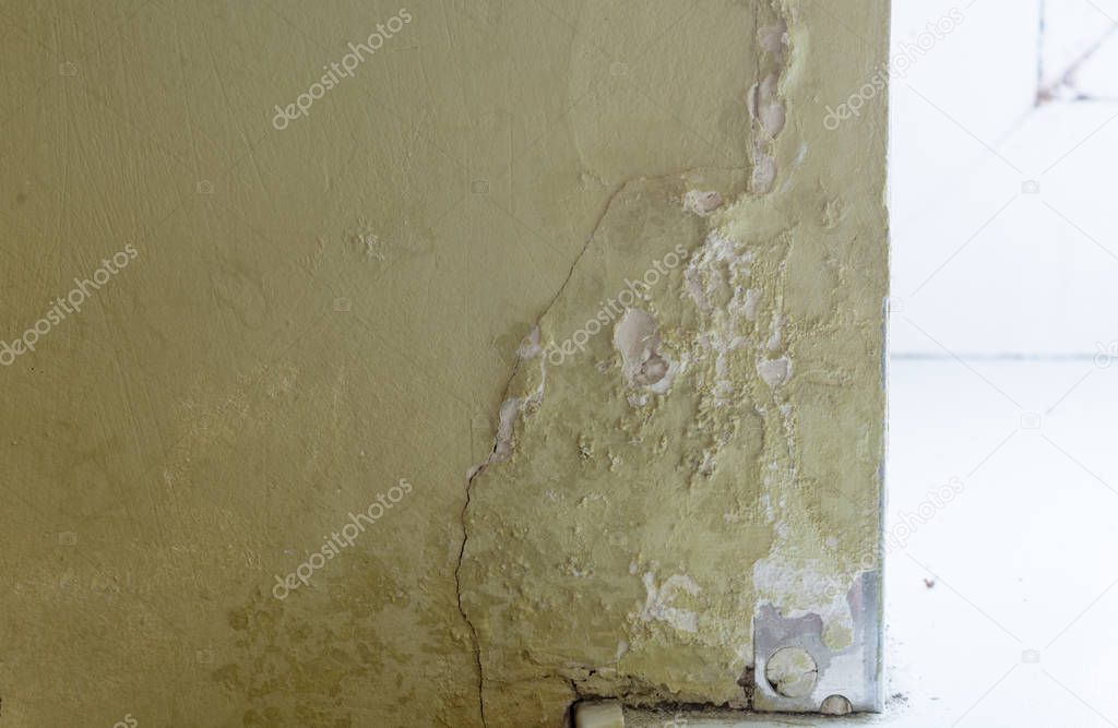 mold in the room