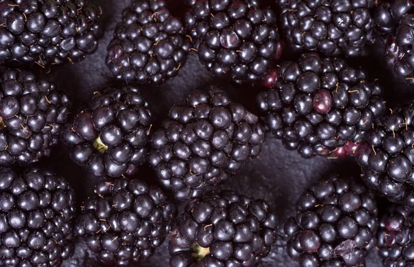 Blackberry makro çekim