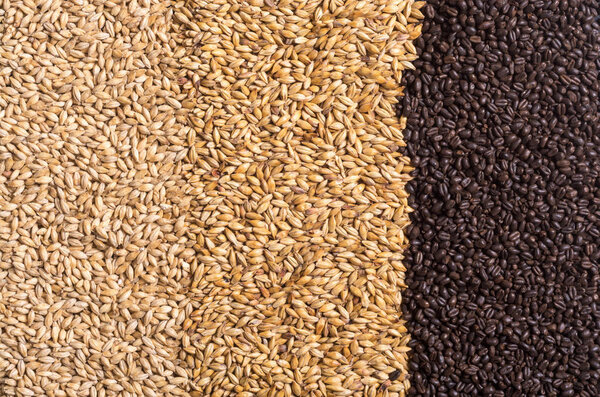 Texture of malt 