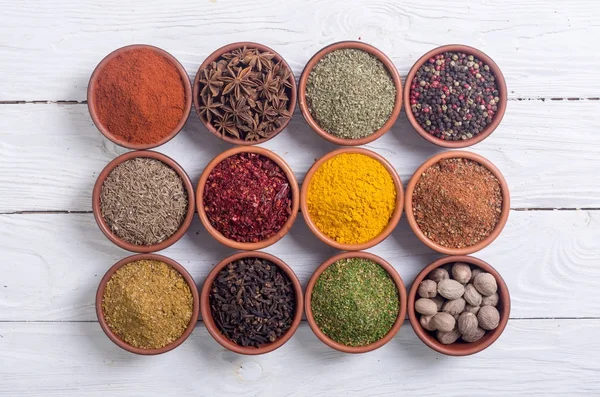Colection av indiska kryddor — Stockfoto