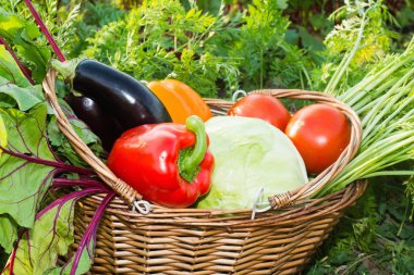 Sepetteki sebzeler 