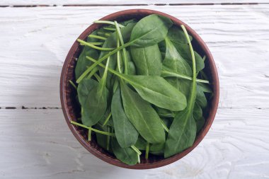 Taze yeşil bebek ıspanak