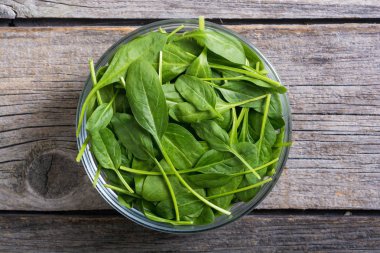 Taze yeşil bebek ıspanak