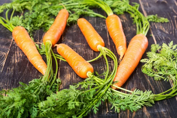 Vegetable carrot with leaves — Stock Photo, Image