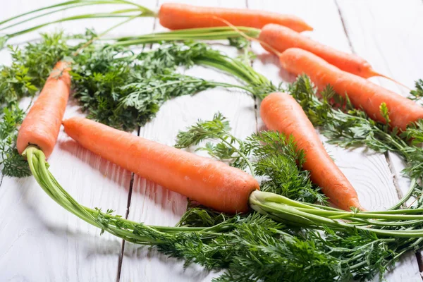 Plantaardige wortel met bladeren — Stockfoto