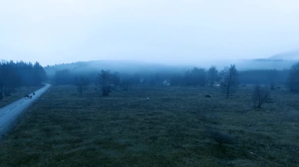 Vue aérienne : scène du petit village dans la forêt brumeuse de la montagne 