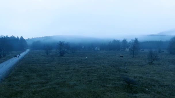 Aerial: scena del piccolo villaggio nella nebbiosa foresta di montagna — Video Stock