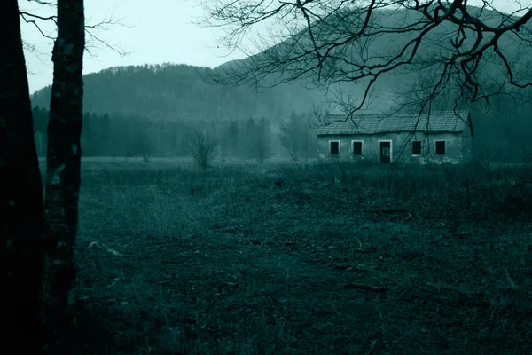 Abandoned house in the middle of misty forest — Stock Photo, Image