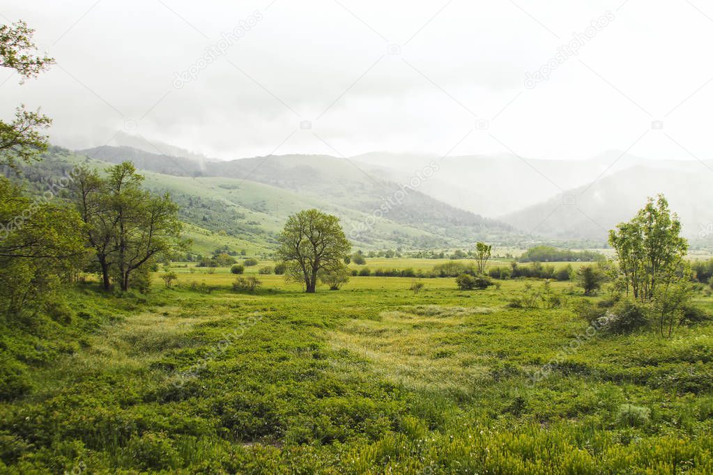 Amazing landscape with green field in mountain 