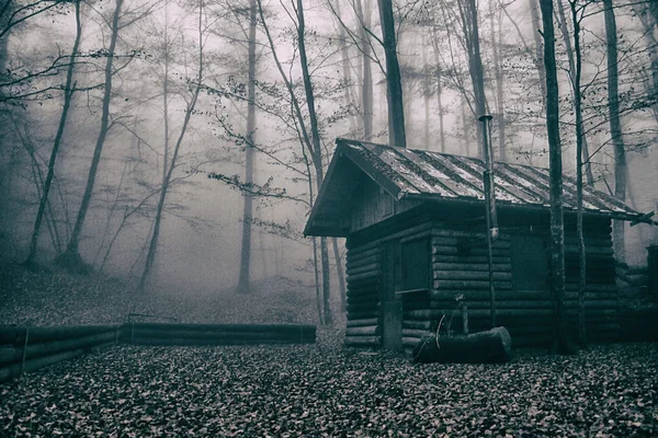 Vieille cabane en bois dans la forêt brumeuse — Photo