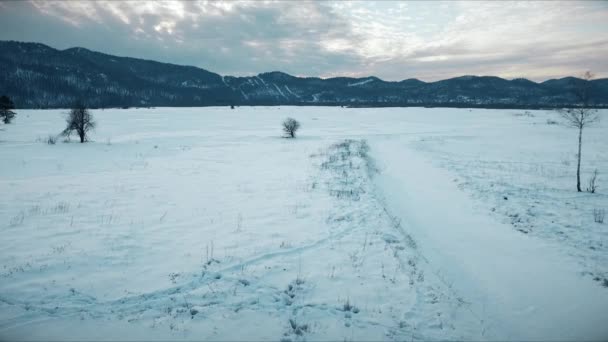 Luftaufnahme Landschaft Winter Mit Schnee Bedeckt — Stockvideo