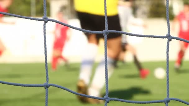 バック グラウンド用サッカー ゴールキーパーのぼやけて撮影 — ストック動画