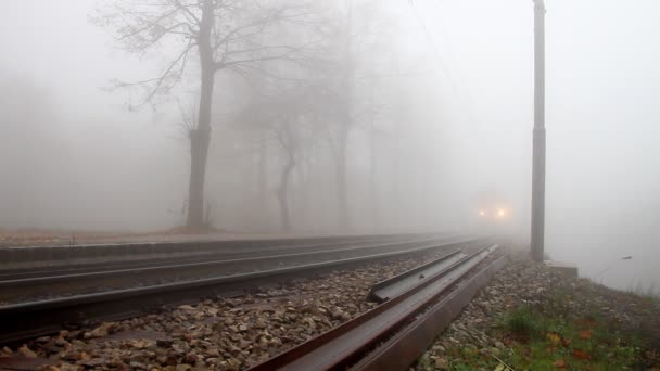 Vracht Trein Railroad Tracks Door Mistige Bos Doorgeven — Stockvideo