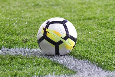 Deri futbol topu çimenlerin üzerinde