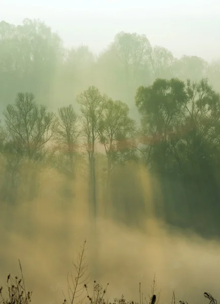 Sonnenstrahlen dringen in Morgennebel ein — Stockfoto