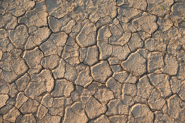 Sunlit chapped ground — Stock Photo, Image