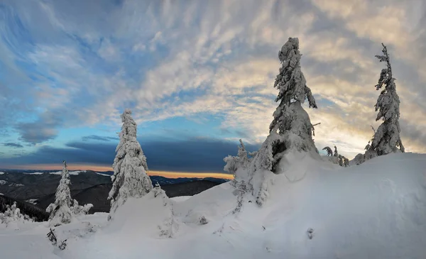 Winterlandschaft mit gefrosteten Bäumen im Vordergrund — Stockfoto