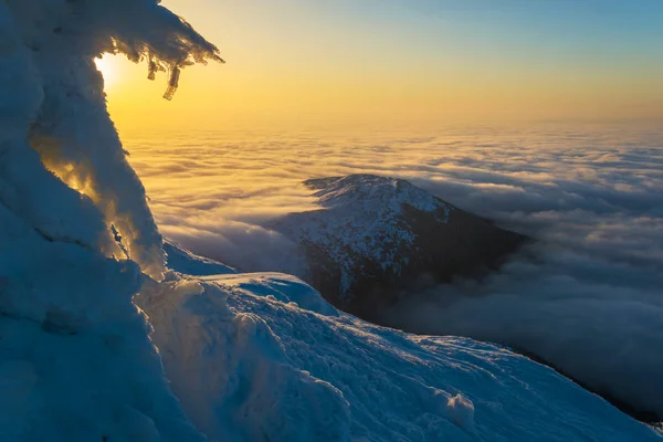 Сцена зимнего восхода солнца с морозом и облаками — стоковое фото
