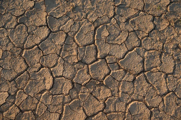 Sunlighted chapped ground — Stock Photo, Image