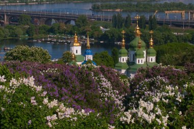 Manastır arasında blooming leylak
