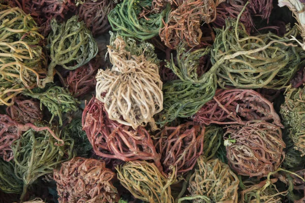 Многоцветный сухой растительный фон — стоковое фото