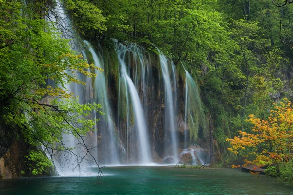 Водопад, озеро и апельсиновое дерево — стоковое фото